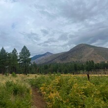 Carrie Henderson - Flagstaff AZT Loop (AZ)