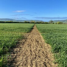 Francois Low - Winchcombe Way