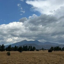 Carrie Henderson - Flagstaff AZT Loop (AZ)