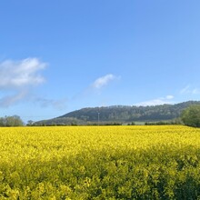 Francois Low - Winchcombe Way