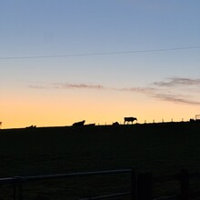 Chelseay Markow, Garry Tovey - River Avon Trail