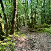 Baptiste Paillot - GR 440 (France)