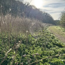 Chelseay Markow, Garry Tovey - River Avon Trail