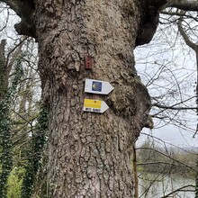 Henri Vanstraceele - Metz-Nancy (France)