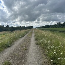 Daniel Hernes - Rheinauenweg