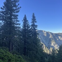 Olivia Horgan - San Gorgonio Mountain (CA)