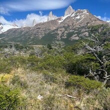 Stephen Corcoran - Fitzroy Scramble