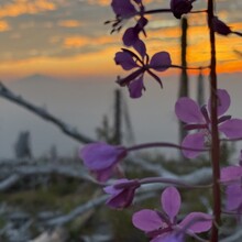 Nick Fowler - Pacific Crest Trail (CA, OR, WA)
