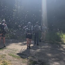 Christine Bianchi, Kelsey Johansen, Colton Kasper, Rachel Szemenyei, Masen Armel, Shannon Dowell, Tony Roy - Gallatin Crest Trail (MT)