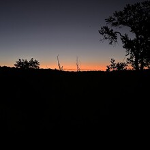 Jenny Lievois - Crest Trail #130 (Sandia Mtns, NM)