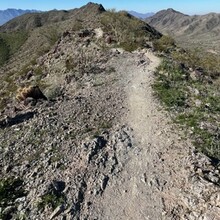 Julie Wallace - National Trail (AZ)