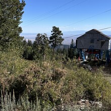 Jenny Lievois - Crest Trail #130 (Sandia Mtns, NM)