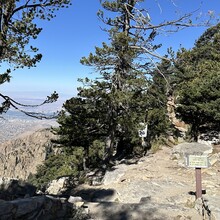 Jenny Lievois - Crest Trail #130 (Sandia Mtns, NM)