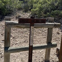 Jenny Lievois - Crest Trail #130 (Sandia Mtns, NM)