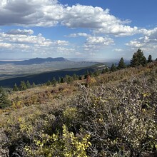 Jenny Lievois - Crest Trail #130 (Sandia Mtns, NM)