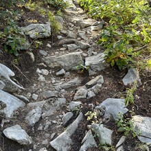 Jenny Lievois - Crest Trail #130 (Sandia Mtns, NM)