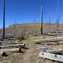 Brianna Grigsby - Escudilla Mountain