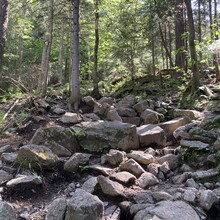 Charlotte Winkler - Giant and Rocky Peak Ridge (NY)