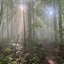 Sarah Baker - AT:  Springer Mtn - Clingmans Dome (GA, TN, NC)