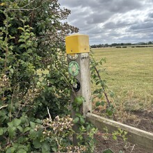 Melissa Fernandez (was Venables) - The Harry Green Way