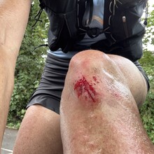 Melissa Fernandez (was Venables) - The Harry Green Way