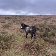 David Stretton - Beacons Way (United Kingdom)