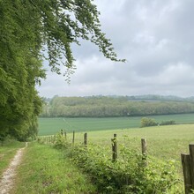 Karen Bennett - North Downs Way Loop