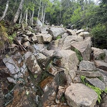 Christopher "Walkin" Paquette - White Mountains 100 (NH)
