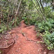 Kiana Ramli - Mount Olomana (HI)