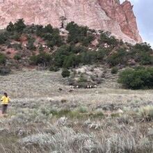 Sean McCauley - Garden of the Gods (CO)