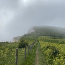 Karen Bennett - North Downs Way Loop