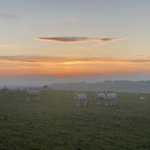 Karen Bennett - North Downs Way Loop