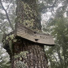 Sarah Baker - AT:  Springer Mtn - Clingmans Dome (GA, TN, NC)