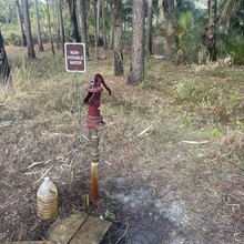 Will Daniels - Lake 2 Ocean Trail (FL)