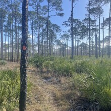 Will Daniels - Lake 2 Ocean Trail (FL)
