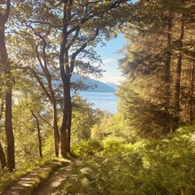 Paul Hammond - West Highland Way - Great Glen (United Kingdom)