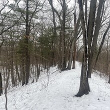 Miki Sawada - Charles River Link Trail (MA)