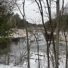 Miki Sawada - Charles River Link Trail (MA)