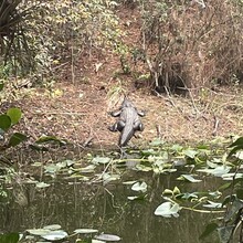 Will Daniels - Lake 2 Ocean Trail (FL)