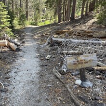 Jessica Wicks, Matt Velinder - John Muir Trail via Whitney Portal (CA)