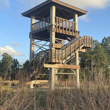 Will Daniels - Lake 2 Ocean Trail (FL)