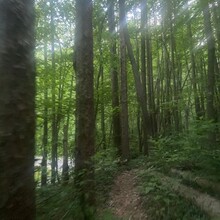 Anna Snyder - Logan Trail (OH)
