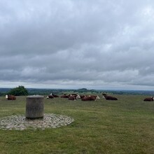 Katy McGowan - North Worcestershire Path (United Kingdom)