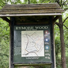 Katy McGowan - North Worcestershire Path (United Kingdom)