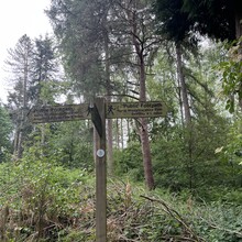 Katy McGowan - North Worcestershire Path (United Kingdom)