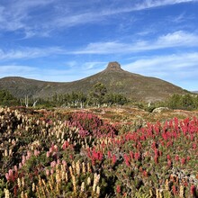 Kylie Garratt - Overland Track