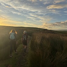 Jacob Richmond, Larissa Wells, Sharon Langer, Tae Catford - Hiraethog Trail