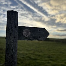 Jacob Richmond, Larissa Wells, Sharon Langer, Tae Catford - Hiraethog Trail