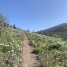Erin Ton - Ptarmigan Peak (CO)