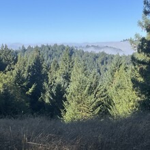 Aude Hofleitner - Pole Mountain via Sea to Sky Trail, Jenner Headlands (CA)